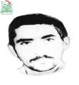 مجید صالحی