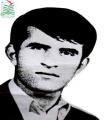 حمید اسماعیلی سوادکوهی