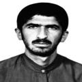 مقداد(مهرداد) افسری حسین آبادی