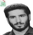 علیرضا محمودی راد