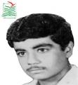 حمیدرضا مردانشاهی
