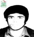 سیدهمت موسوی سنگ چشمه ای