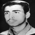 محمد افضلی