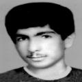 ابوطالب احمدی