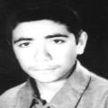 مرتضی بیات