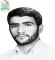 بیژن (حسن) امیری