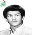 منصور لطفی