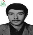 رضا صباغی