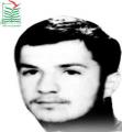 هادی انصاریان