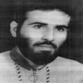 حسن حبیبی نژاد
