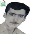 وحید کردعلی