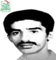 مجید حاجی شفیعی ها