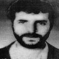 محمدمهدی ثامنی