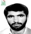 مرتضی شاه محمدی