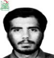 محمد شفیعی ها