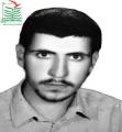 محمود برزگری فیروز آبادی