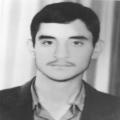 علی کیخا