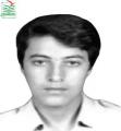میرزا مهدی علی محمدی