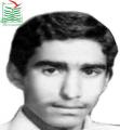 عبدالزهرا بحرانیانی