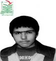 میرزا مظفر شریعتی بافقی