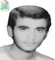 محسن چکاه