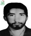هادی نصیرایی هوش
