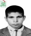 محمدحسین محمودیان
