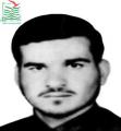 حمید محمودنژاد