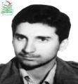 حسن صفری نژاد