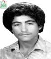 حبیب کامل برون