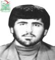 مهدی محمدی