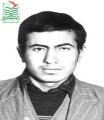 محمدتقی حمیدی