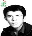 محمدولی پاکروح