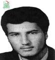 محمدرضا اویسی ثانی