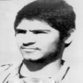 محمود وکیلی