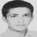 ولی قربانی حسن