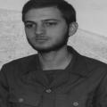 علی همایون پور