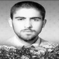 مجتبی حفیظی