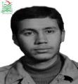 محمود کرمی