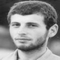 محمدعلی زرین کفش