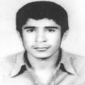 علی گودرزی