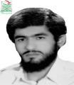 مرتضی پالیزوانی