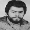 فرید صنیعی پور