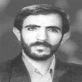 علی محبی