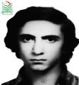 علی ملک زاده آملی