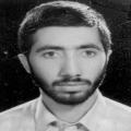 مجید واصفی