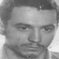 حمیدرضا شالی