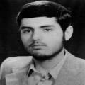 حمید ربانی نوغانی