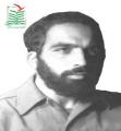 محسن فرشچی