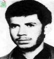 محمودرضا جغتایی